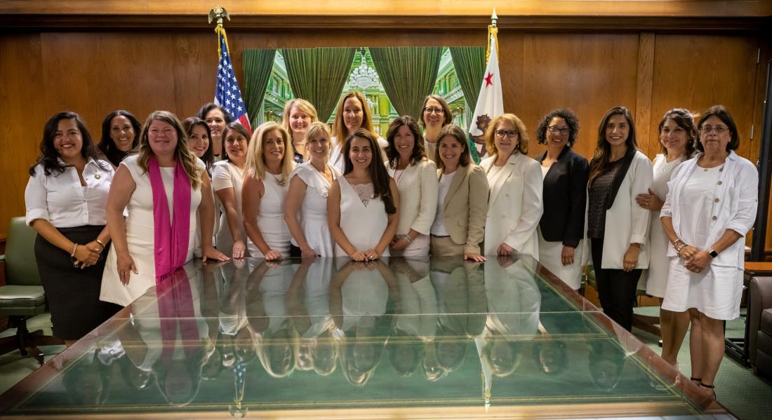 Assemblymember Waldron Celebrates Women's Equality Day with Her Fellow Members of the California Legislative Women’s Caucus